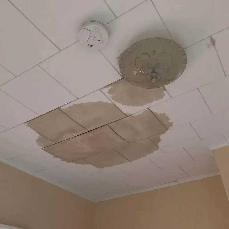 Ceiling Water Damage Repair in Yorkshire, NY